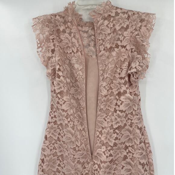 Enfocus Studio Lace Midi Dress Sz 4 Blush Cottage Castlecore High Neck Coquette - Picture 8 of 11